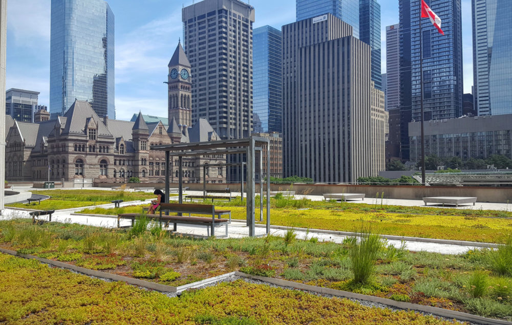 Ontario, vert, écolo, environnement