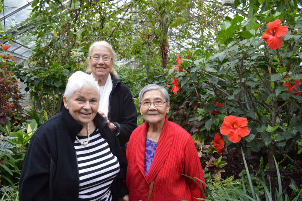Visite de Allan Gardens par des membres de CAH, qui organise de telles sorties et activités pour que nos aînés restent actifs.