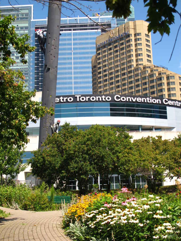 Le Palais des congrès de Toronto (côté Sud).