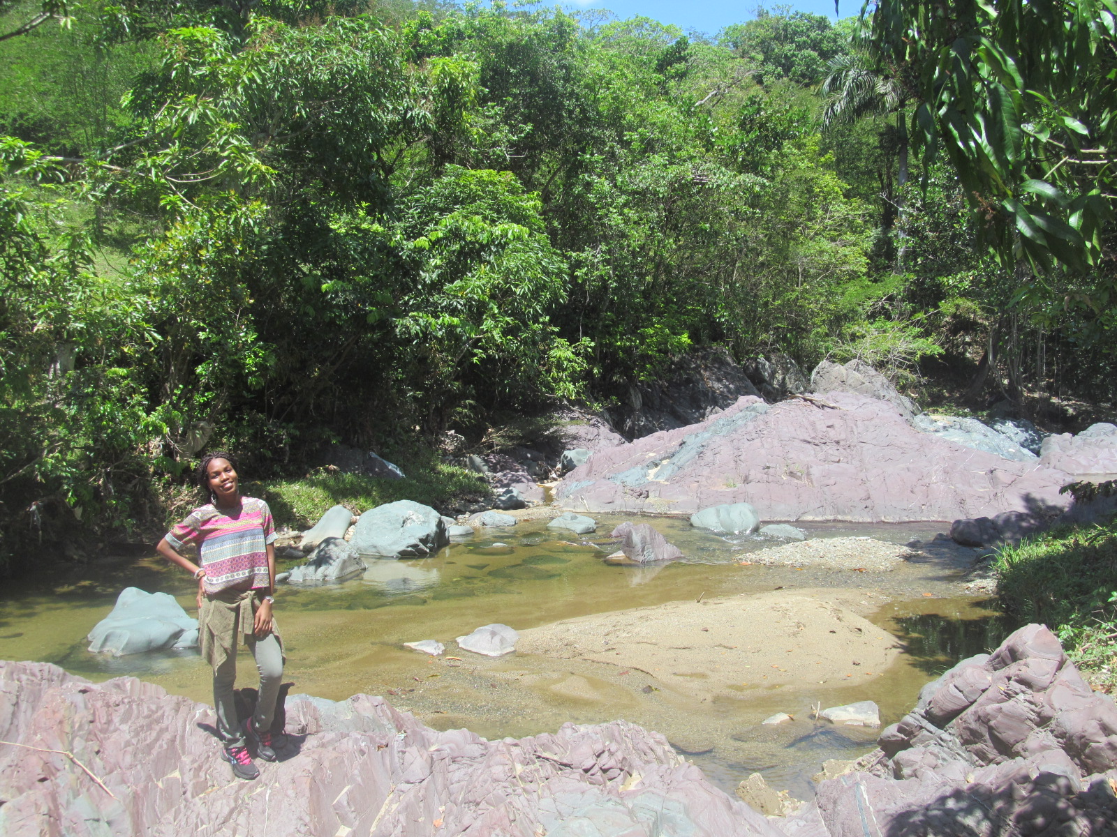 Agritourisme tropical à SainteSuzanne
