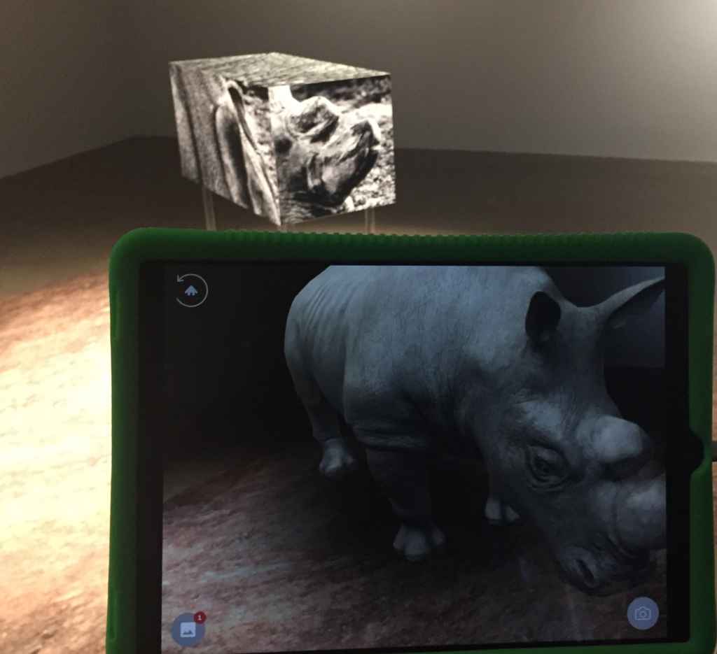 Rhinocéros blanc du Nord en réalité virtuelle