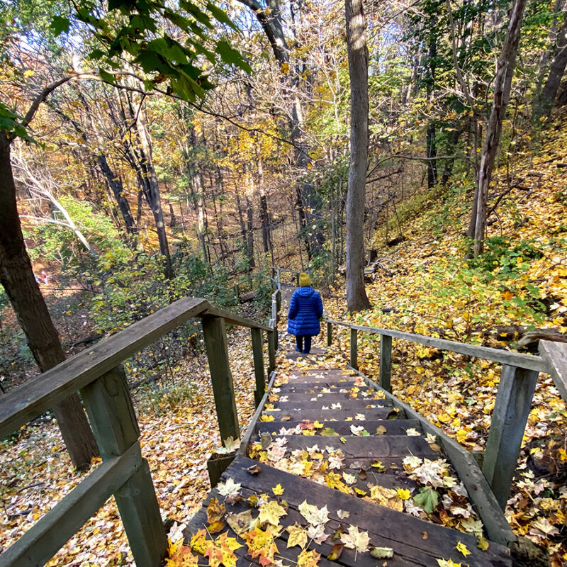 Access to Magwood Park from Baby Point Rd #torontourbanstrolls #32 in Toronto Best Urban Strolls by Nathalie Prezeau