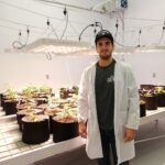 Agricom_microculture cannabis_Vincent Bédard
