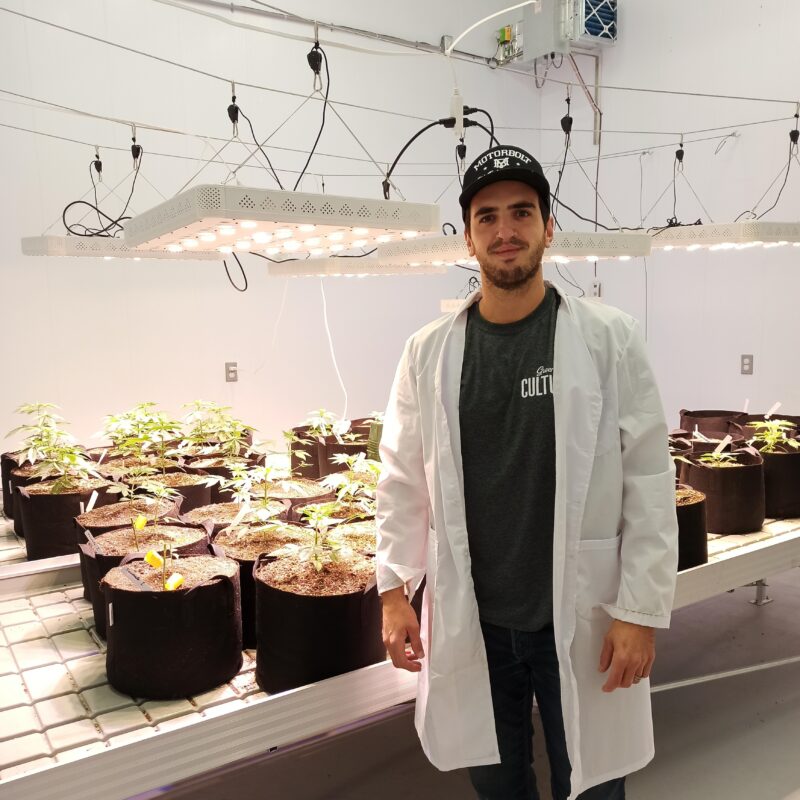Agricom_microculture cannabis_Vincent Bédard