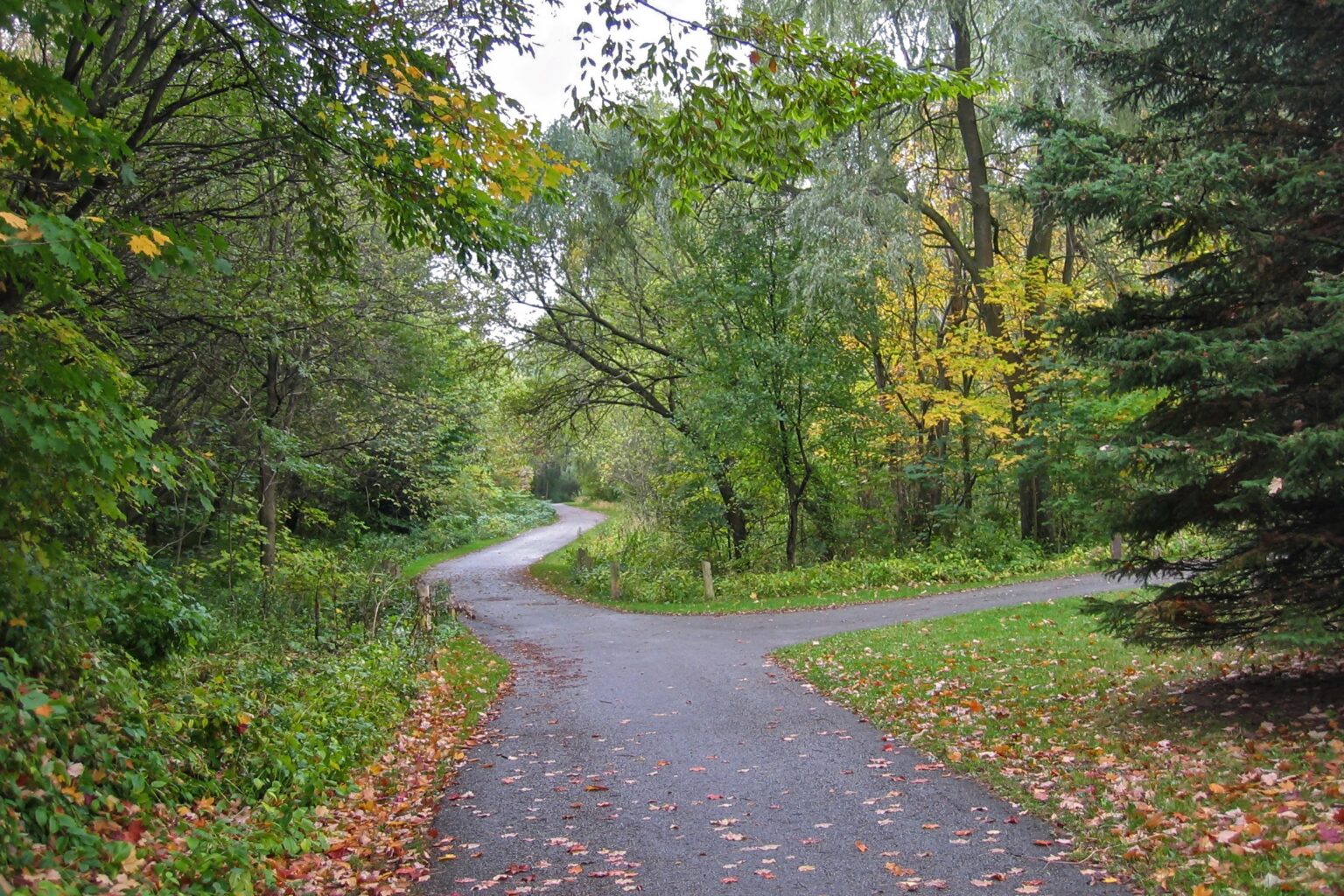 Scarborough Junction les deux visages de Warden Woods
