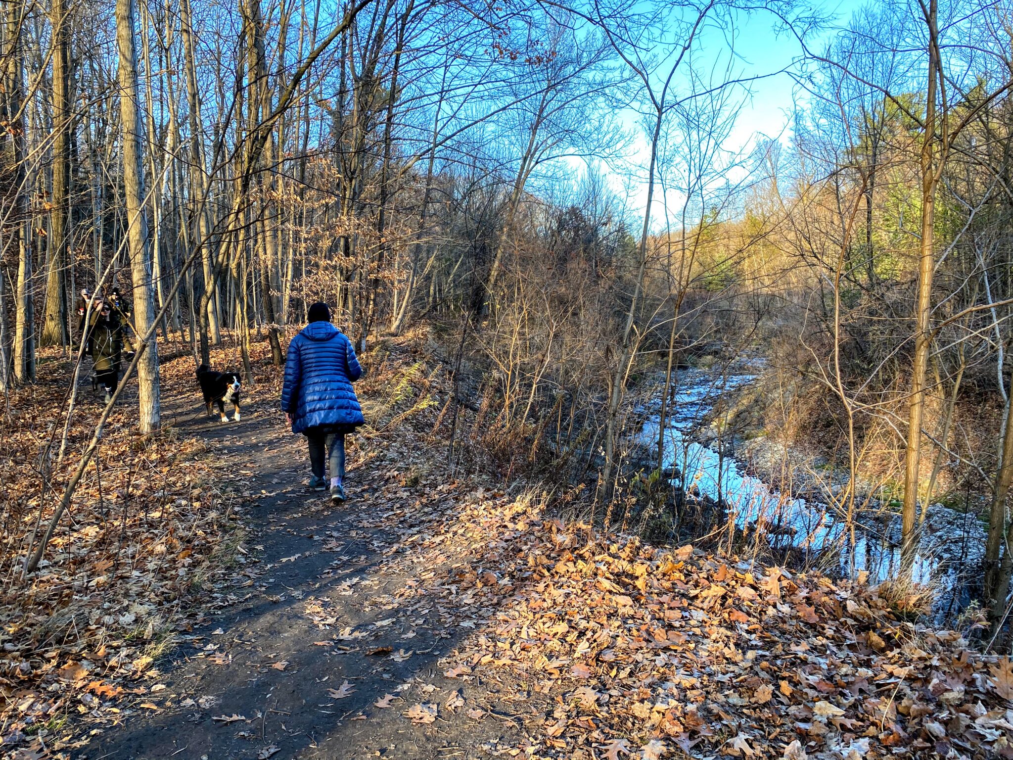Scarborough Junction les deux visages de Warden Woods
