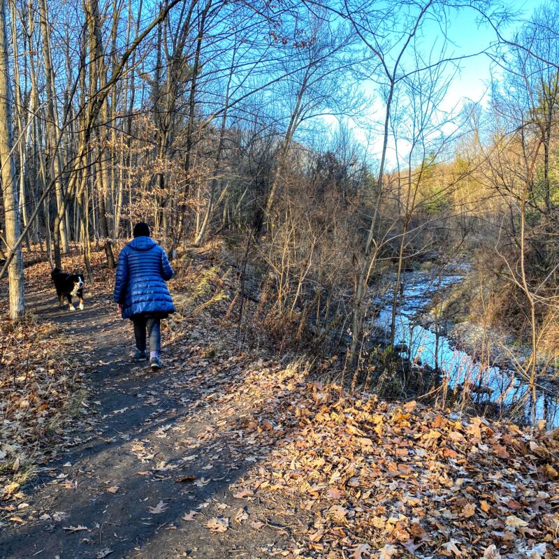 Warden Woods Scarborough Junction balade marche randonnée sentier Taylor-Massey Creek