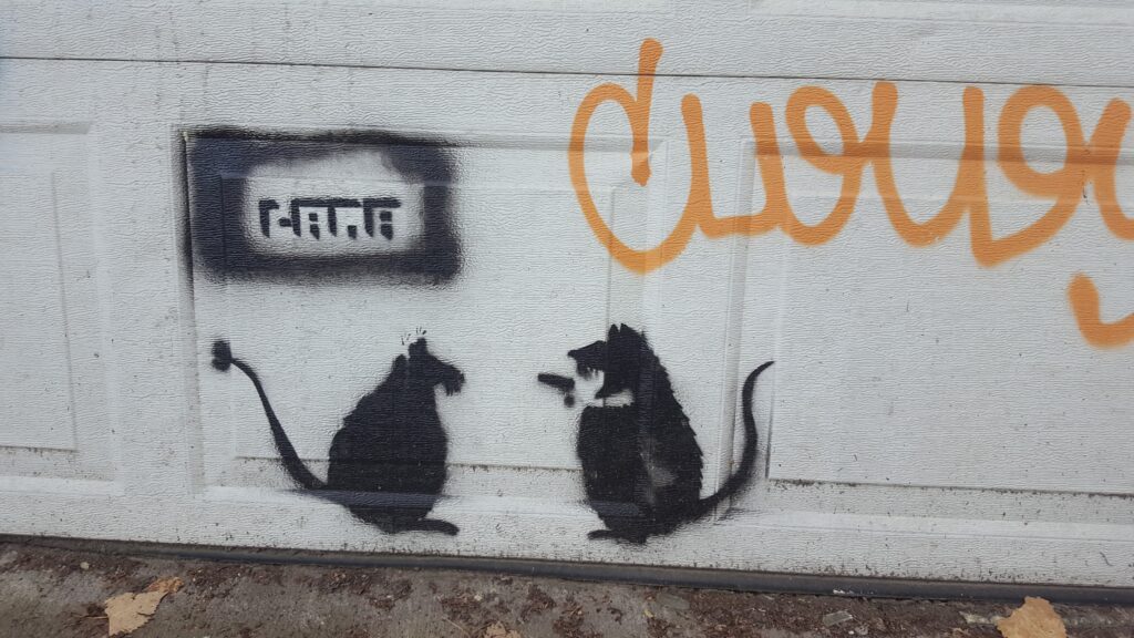 rats