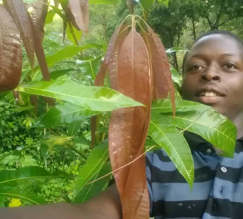 Jeune fermier en Haiti