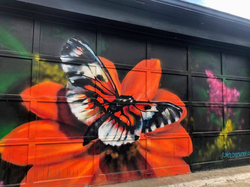 papillons, David Suzuki Butterflyway