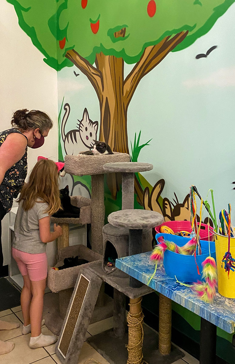 À la découverte du bord de l’eau de Port Hope sentier, plage, marais...