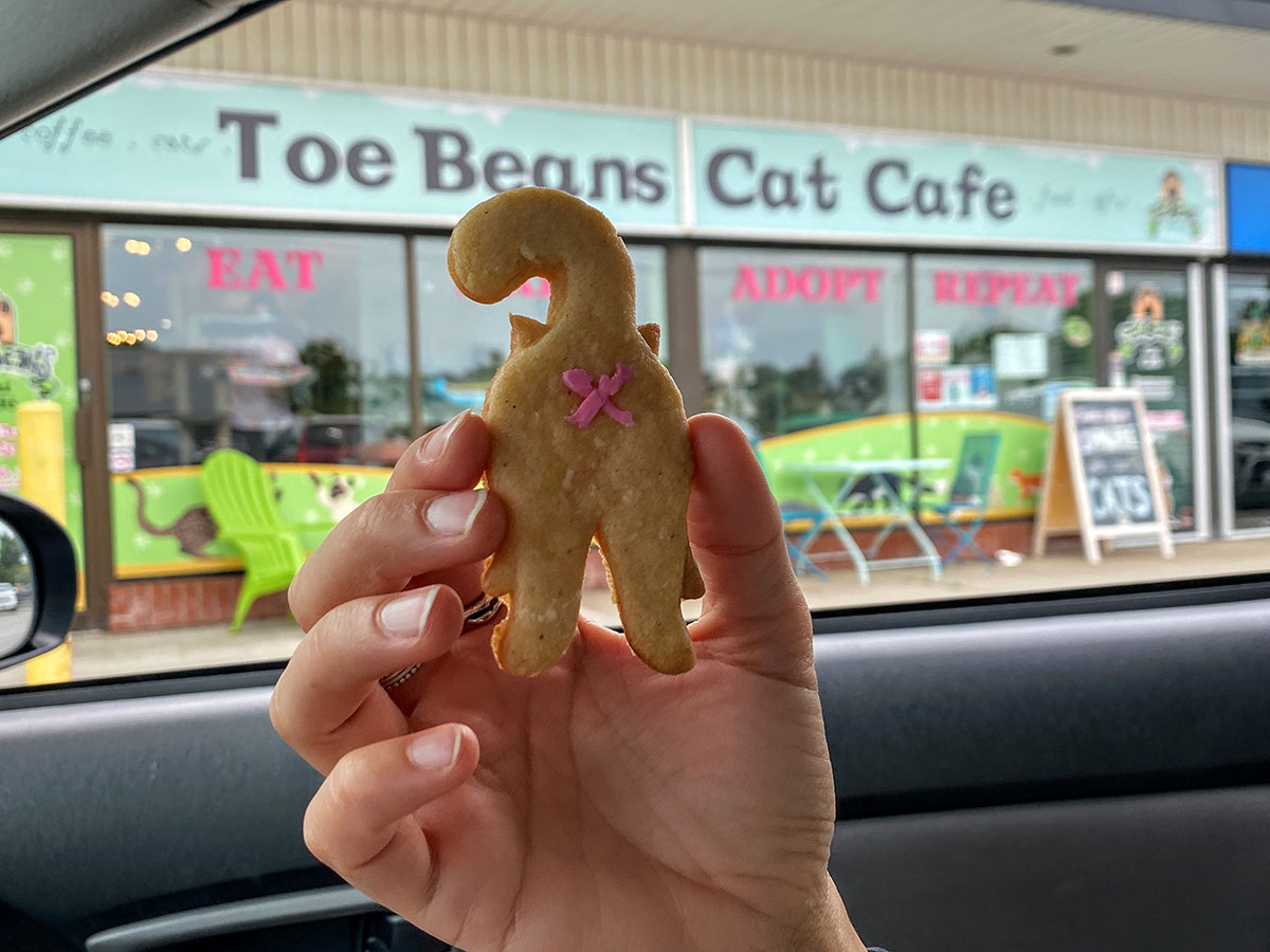 À la découverte du bord de l’eau de Port Hope sentier, plage, marais...