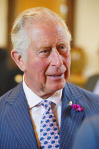 Prince_Charles, inconstitutionnelle