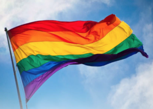 Fierté LGBTQ, FrancoQueer