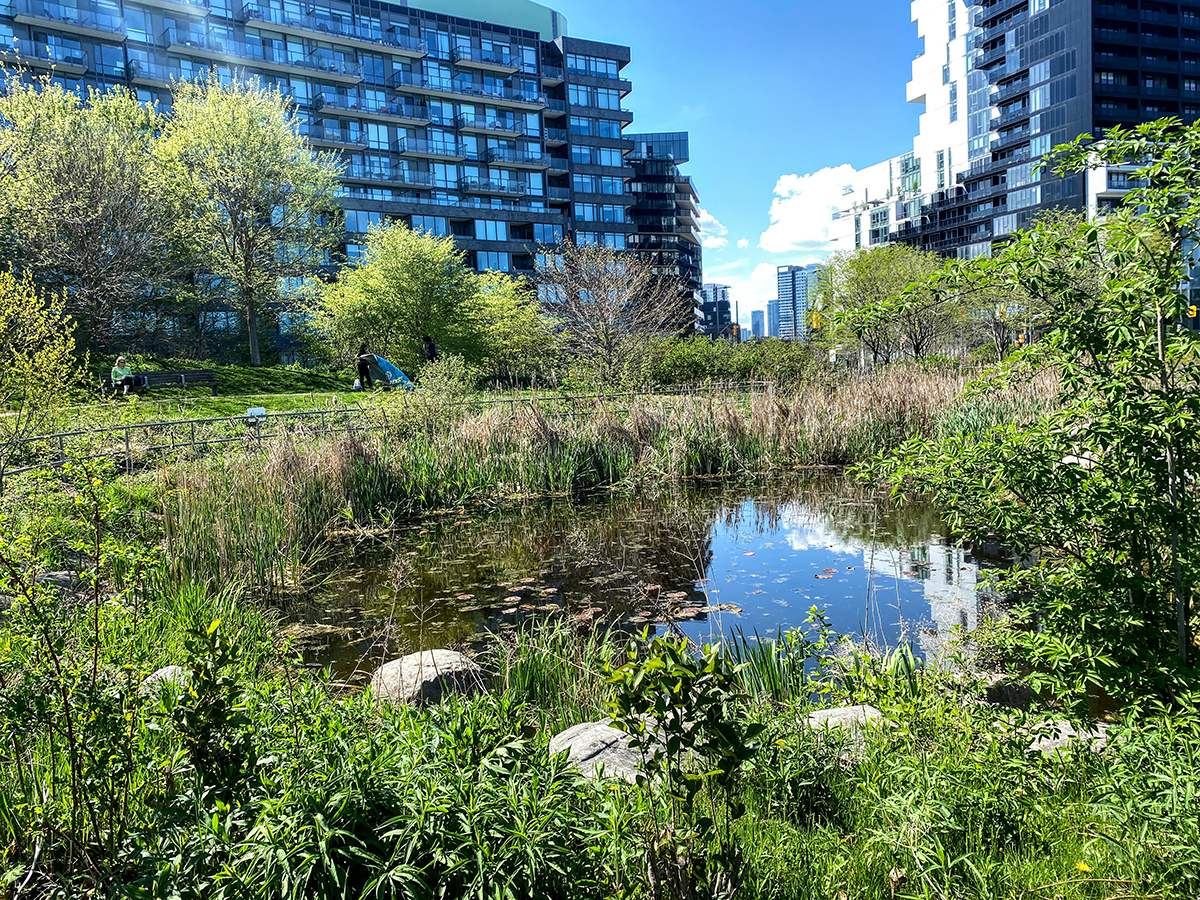 Un café caché dans la jardinerie Queen Garden Centre