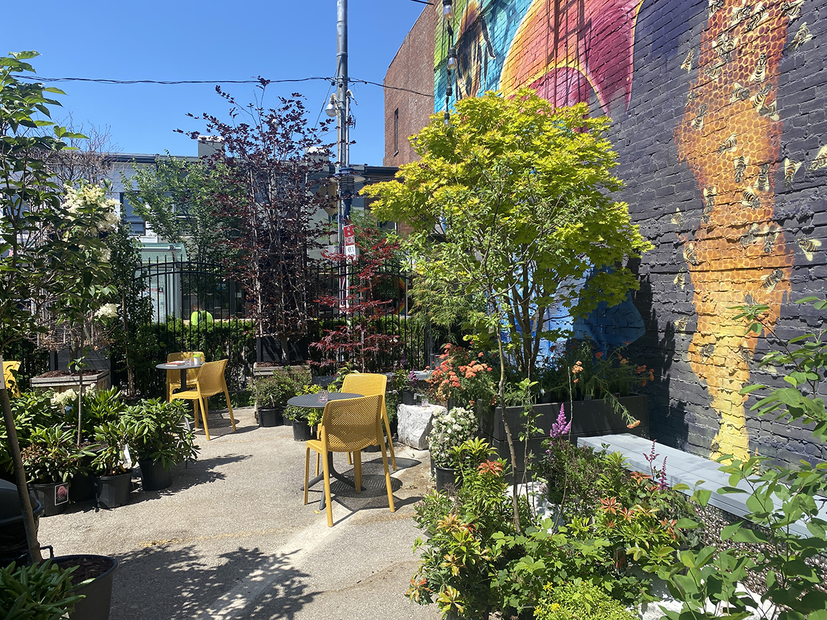 Un café caché dans la jardinerie Queen Garden Centre