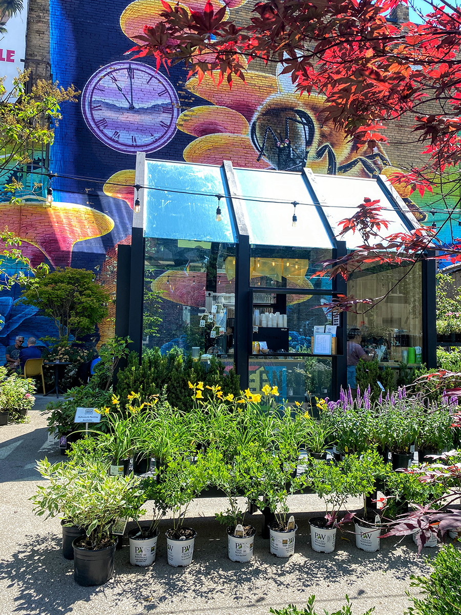 Un café caché dans la jardinerie Queen Garden Centre