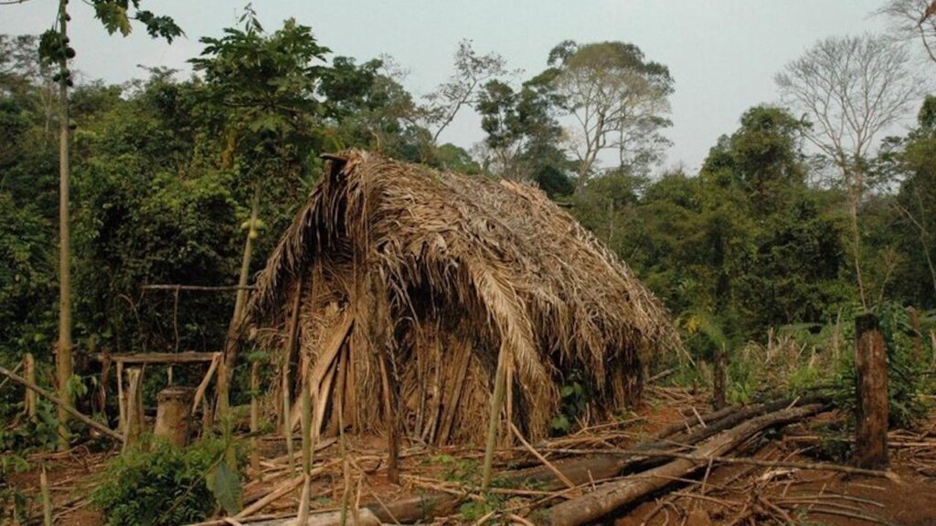 Brésil-autochtone-Amazonie