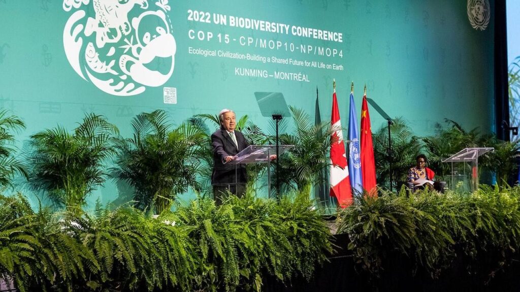 COP15, biodiversité