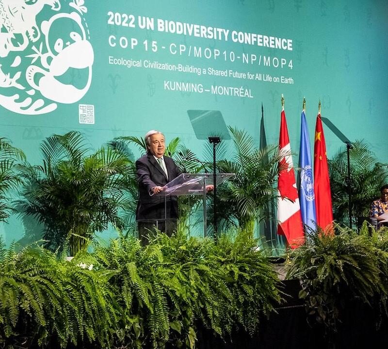 COP15, biodiversité