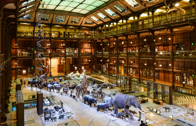 Muséum national d’histoire naturelle de Paris