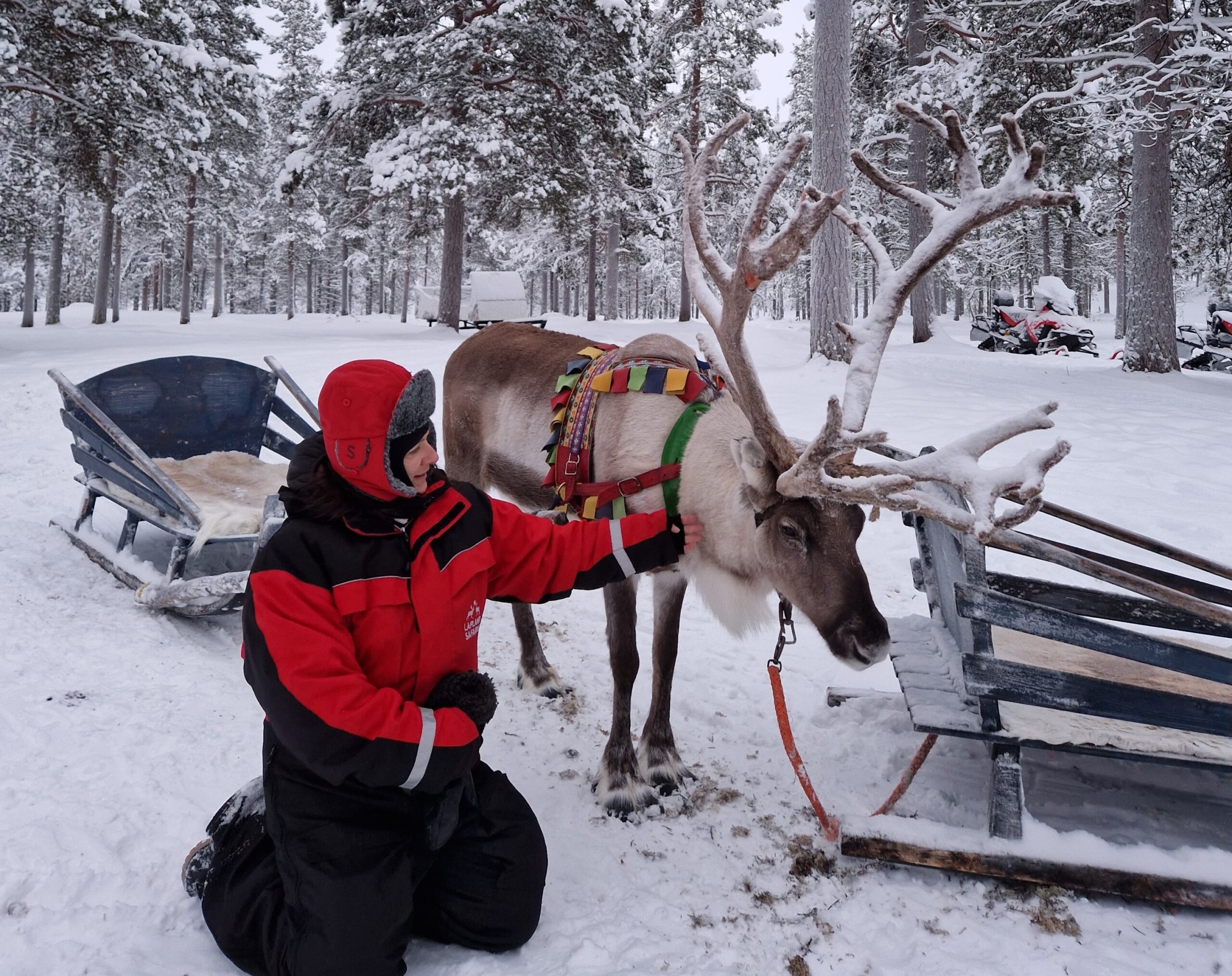 Laponie un hiver en terre samie