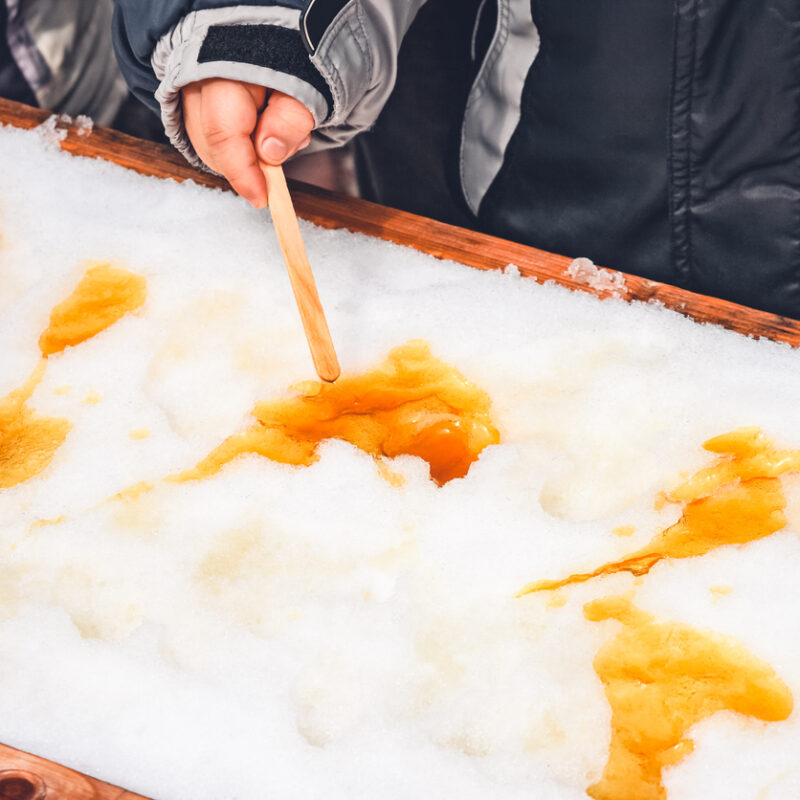 Semaine de la francophonie, cabane à sucre