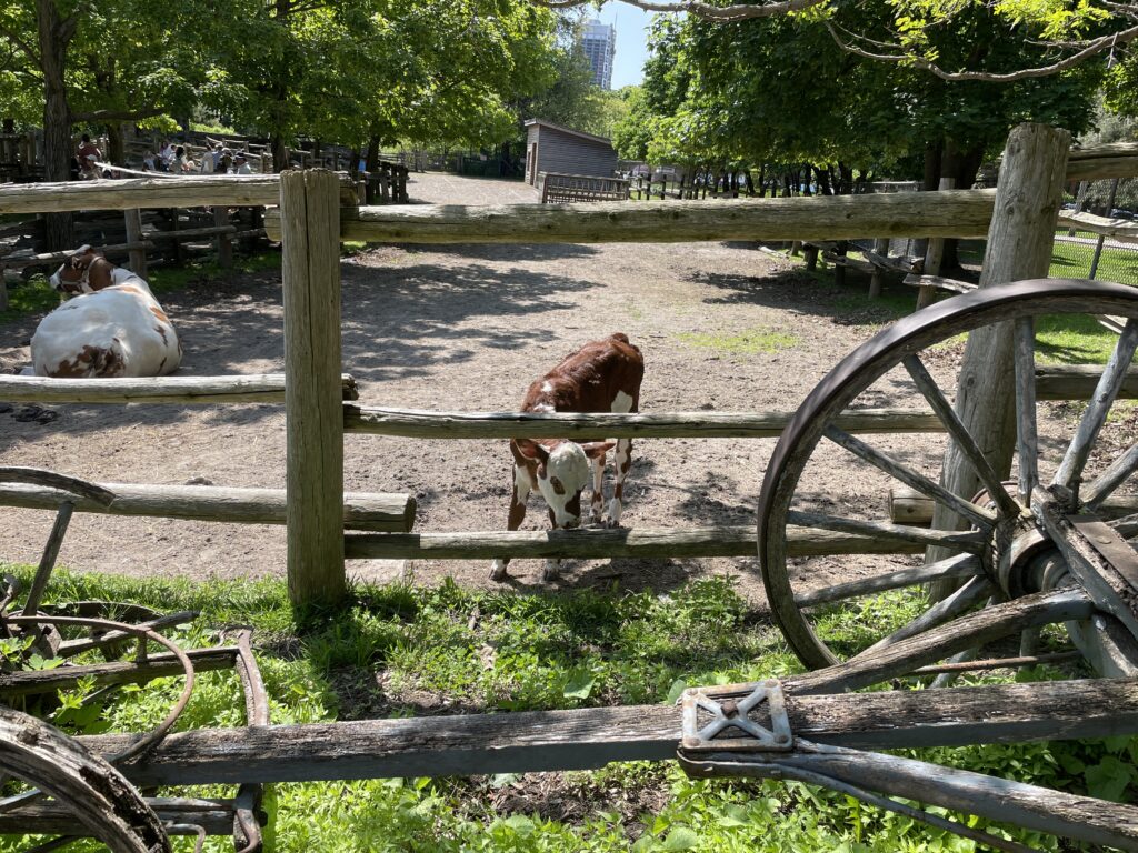 La ferme de Riverdale