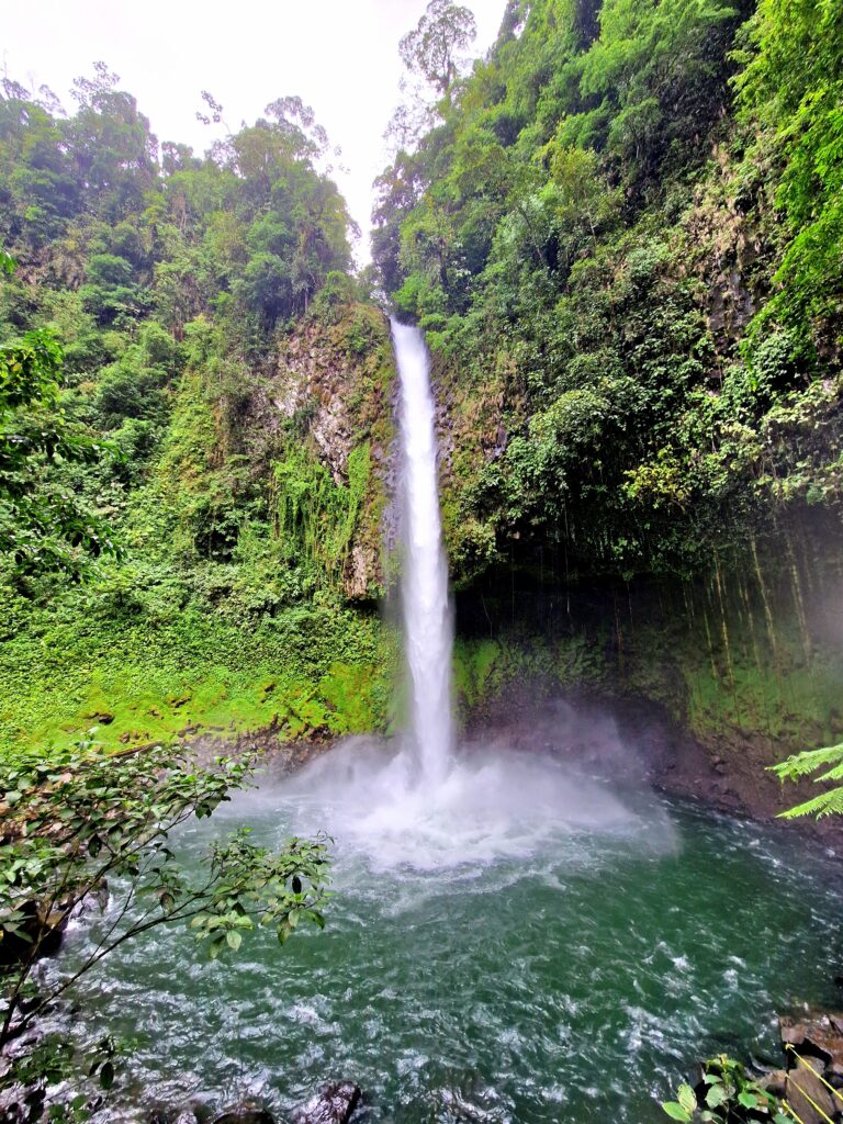 Cascade fortuna, Costa Rica