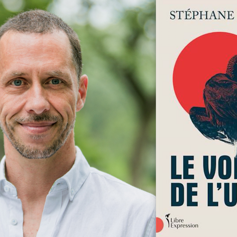 roman, Stéphane Brulotte, Le Vol de l’urubu