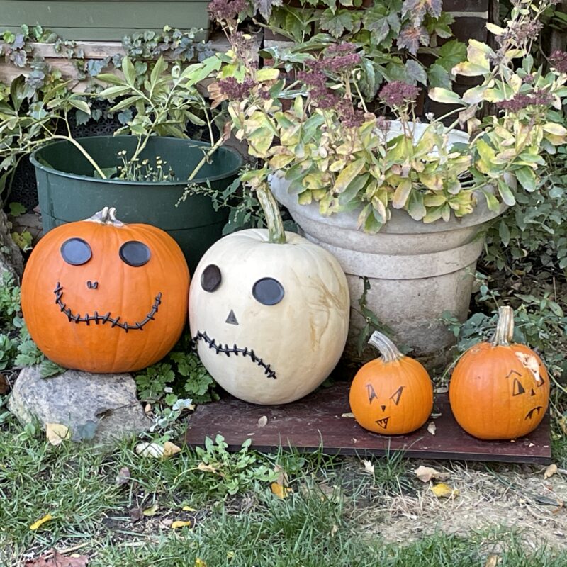 Halloween, citrouilles