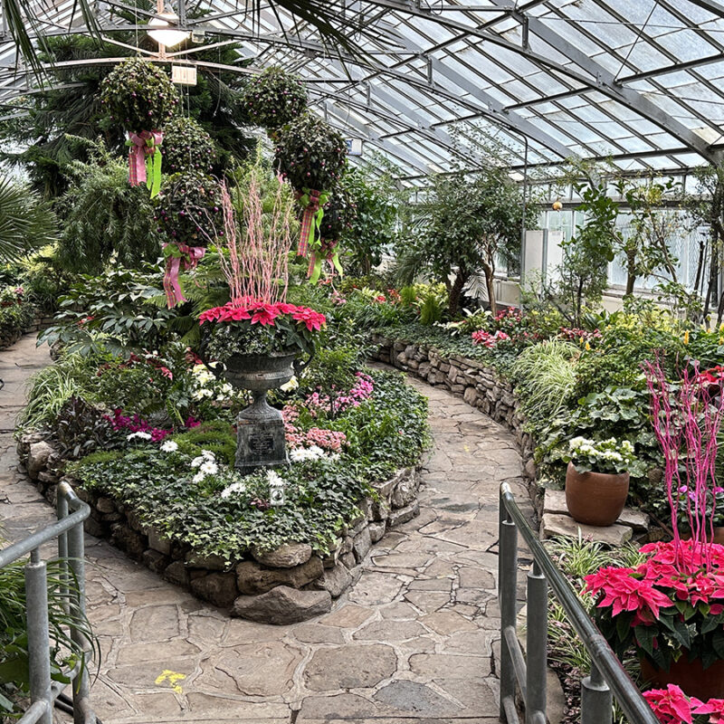 Allan Gardens