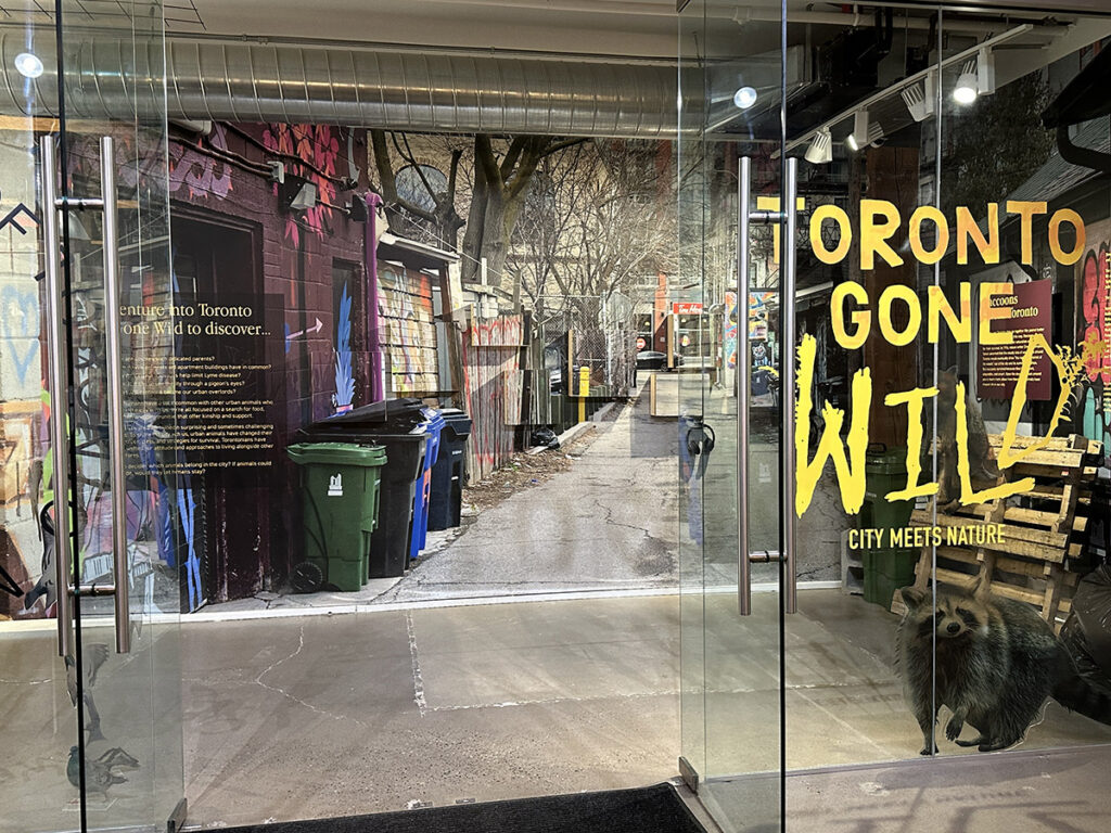 Toronto Gone Wild, Muséum of Toronto