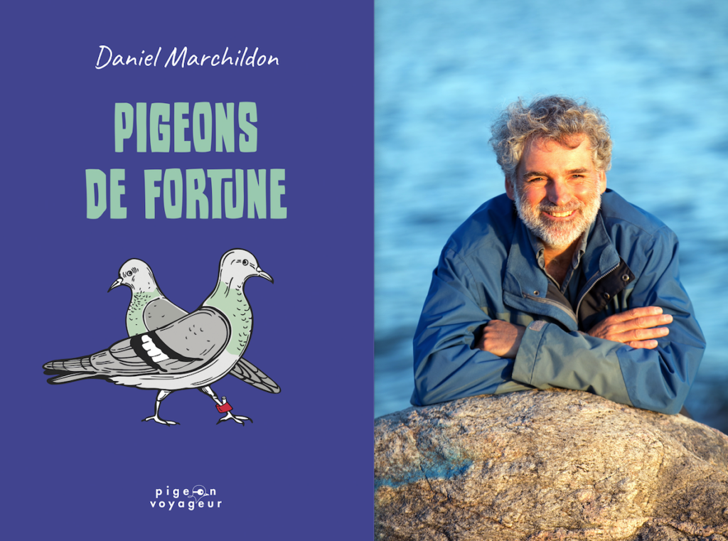 Daniel Marchildon, Pigeons de fortune