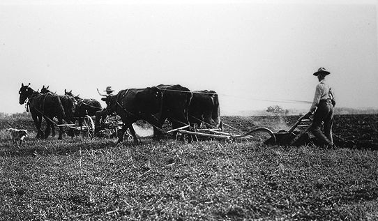 Immigration dans les prairies canadiennes.