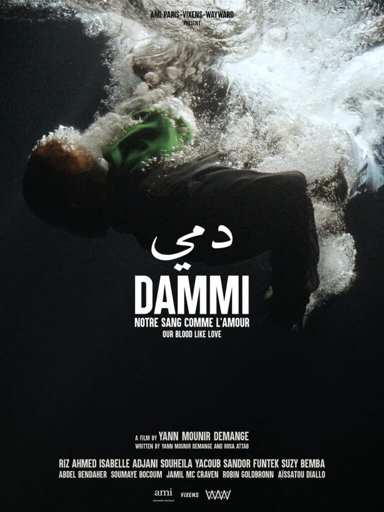 DAMMI