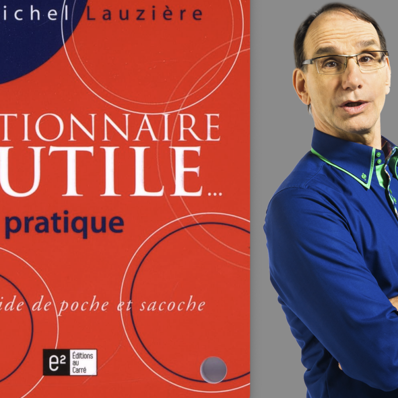 Michel Lauzière, Le Dictionnaire inutile mais pratique