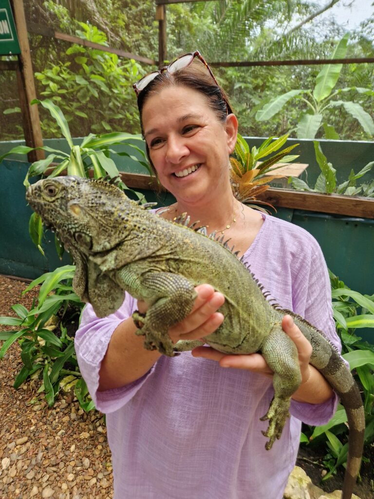 iguane