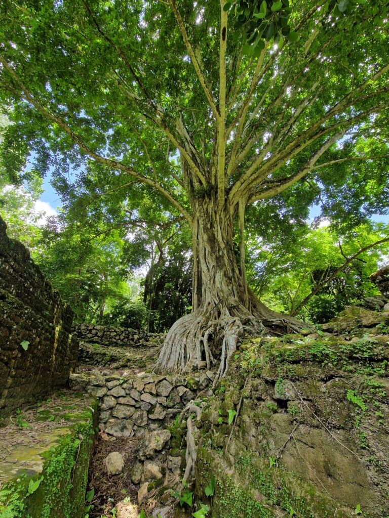 Belize Lamanai