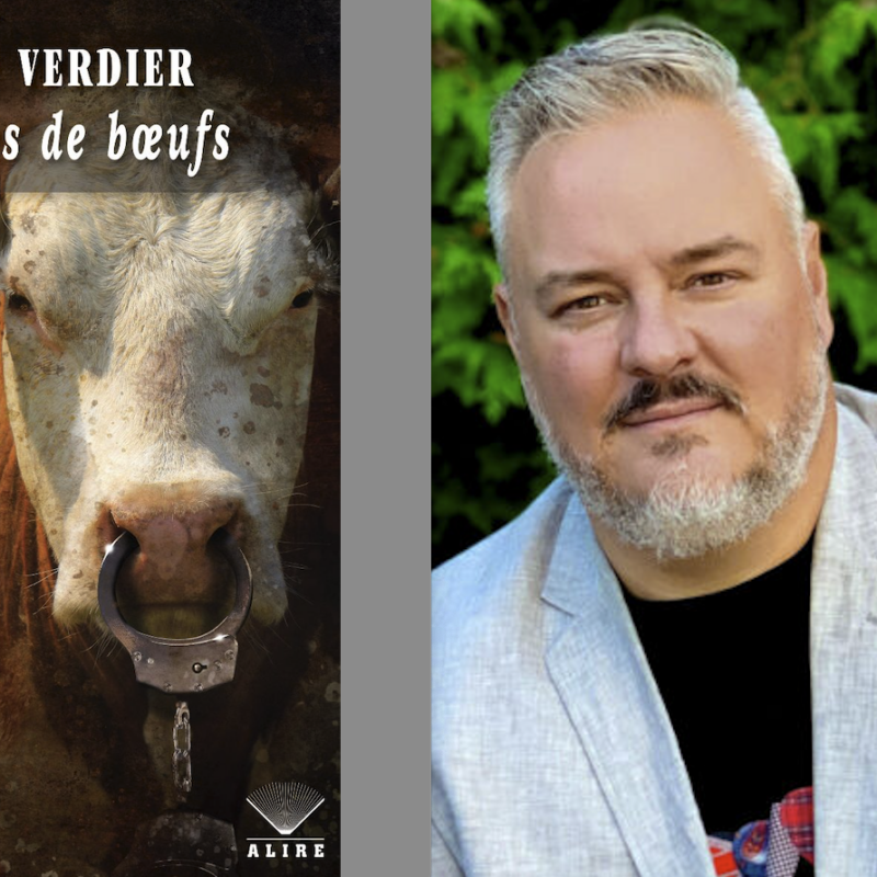 Vic Verdier, Faces de boeufs