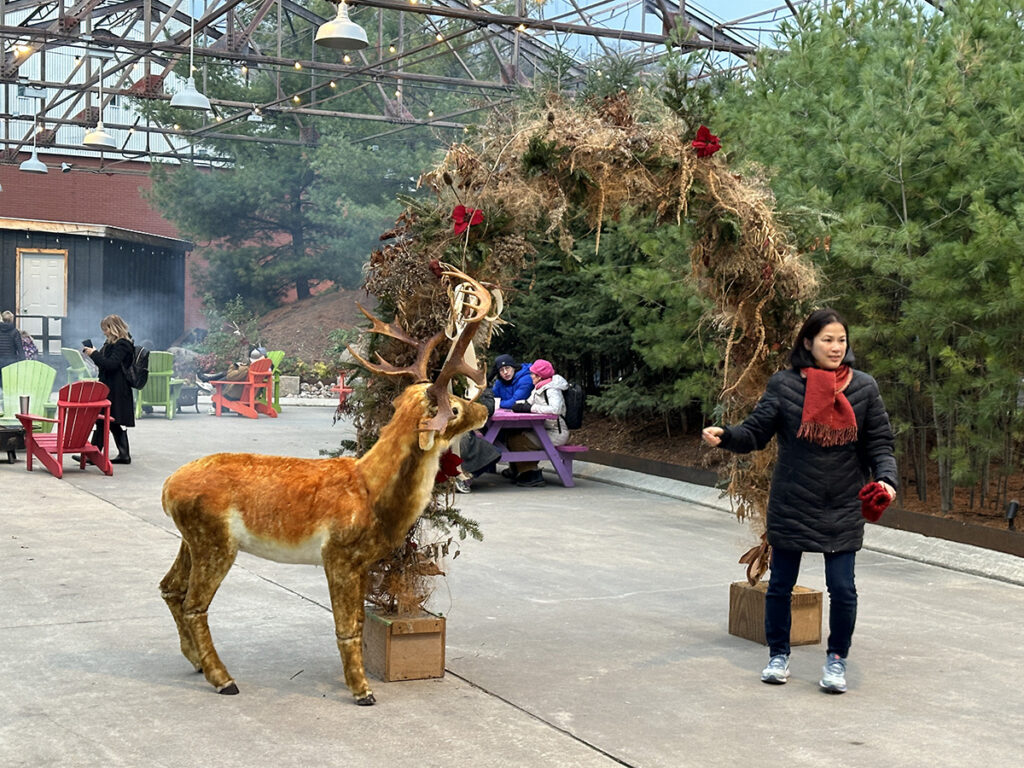 Evergreen Brick Works, Winter Market