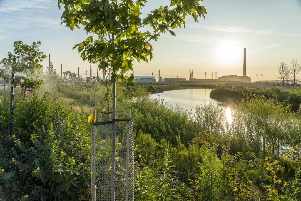 infrastructures vertes, rivière Don