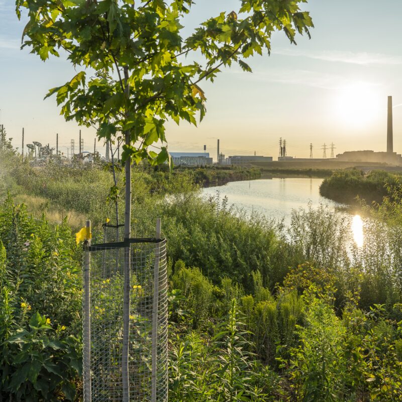 infrastructures vertes, rivière Don