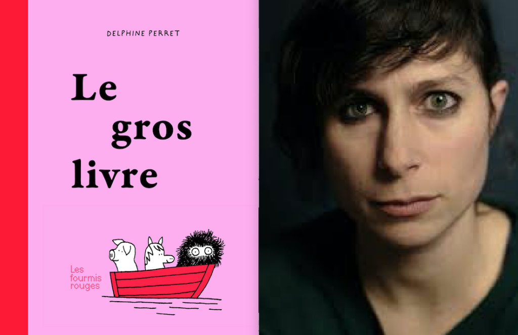 histoires, Delphine Perret, Le gros livre, album illustré