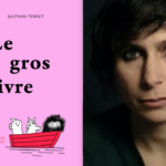 histoires, Delphine Perret, Le gros livre, album illustré