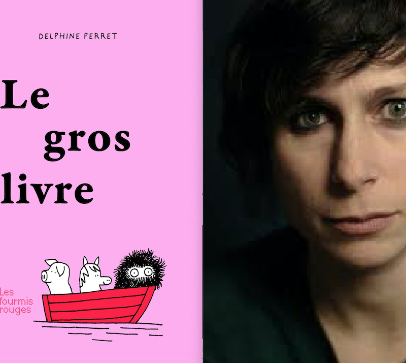 histoires, Delphine Perret, Le gros livre, album illustré