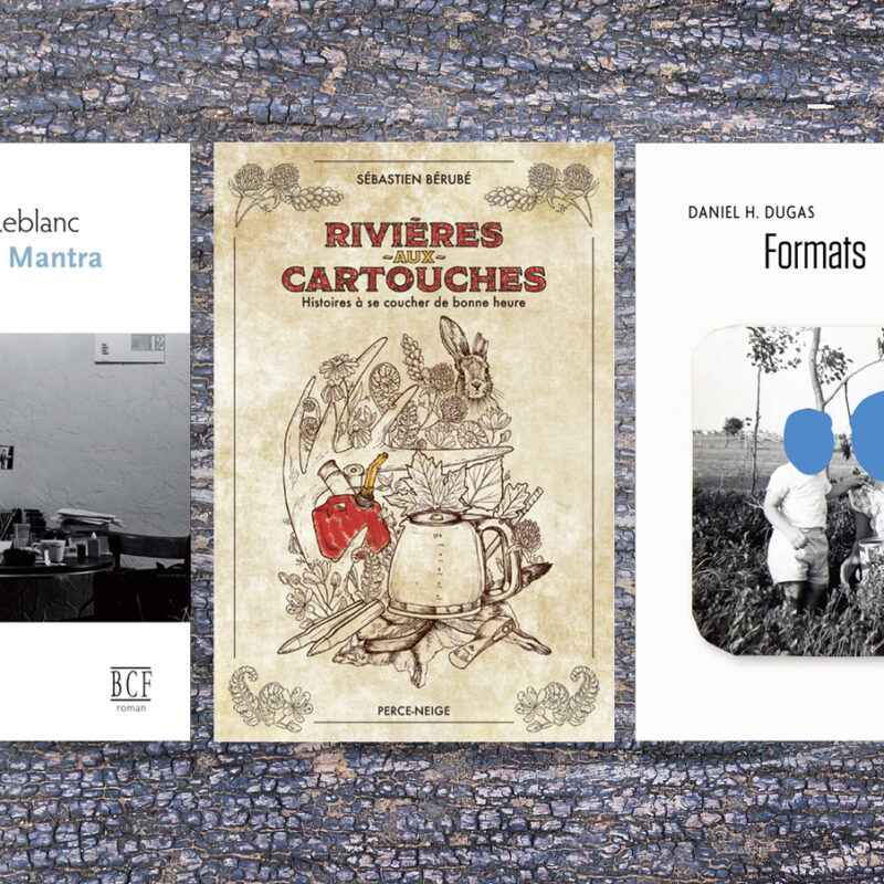 livres, romans, Acadie