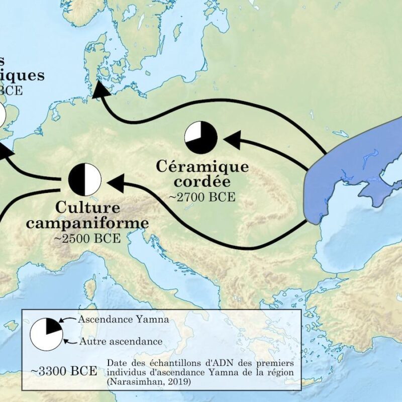 indo-européens, Yamna-culture-carte