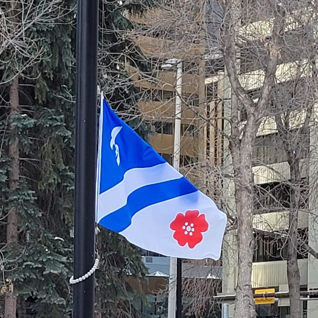 drapeaux francophones de l'Ouest