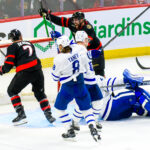 Sens-Leafs